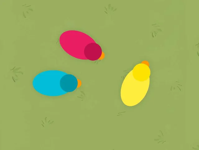Duck Sort Game